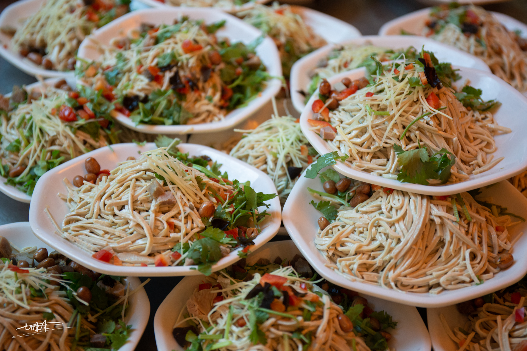 泰州早茶一茶三点一面推荐,在泰州吃特色早茶的真实原声视频