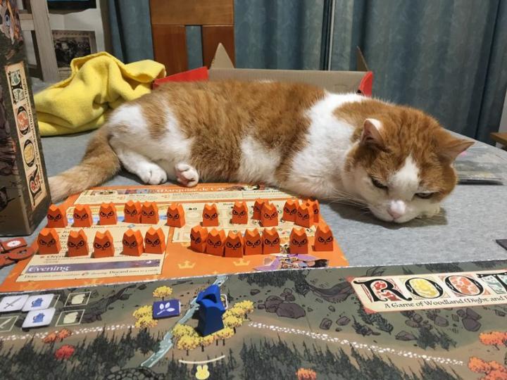 茂林源记桌游在哪可以玩,策略游戏推荐桌游