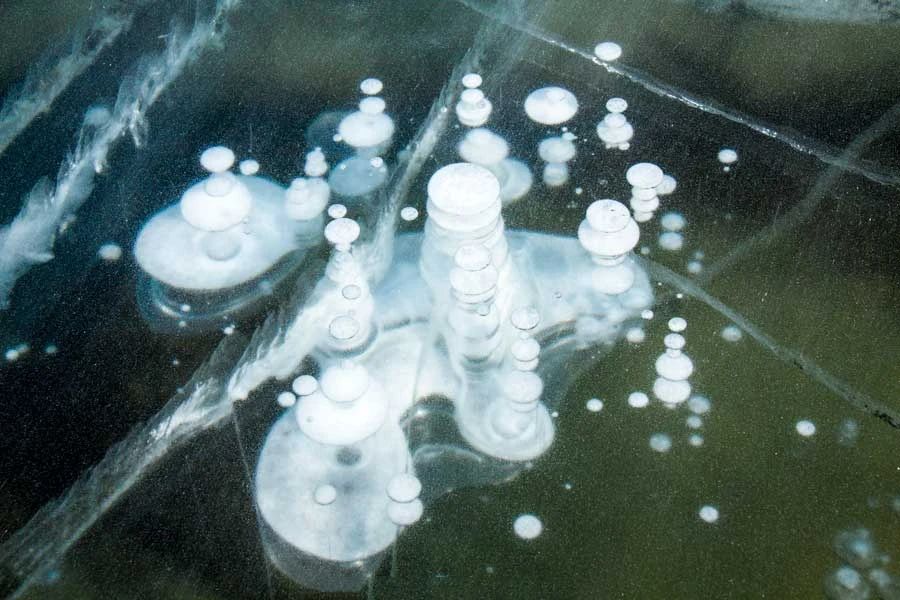 冬季的庭院景观,美丽如画的自然景观让人心旷神怡