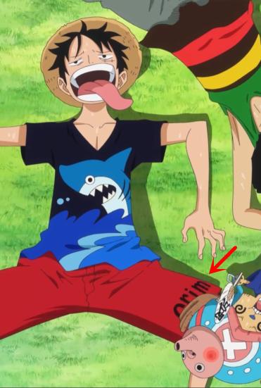 海贼王大熊衣服,海贼王剧场版redt恤