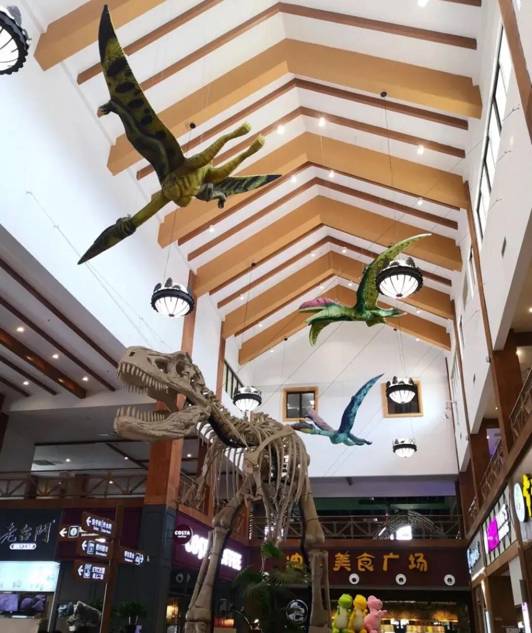 为什么江苏人爱去高速服务区旅游