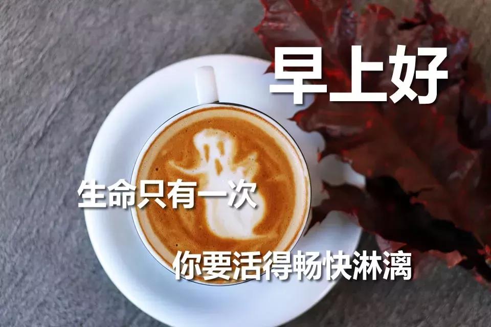 朋友圈早安表情包唯美,问好的表情包显得很高冷吗