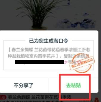 淘口令引流,淘宝卖家淘口令怎么设置规则