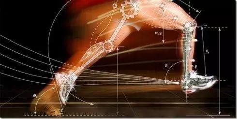 骨科大夫解惑：“骨质增生”该怎么治？