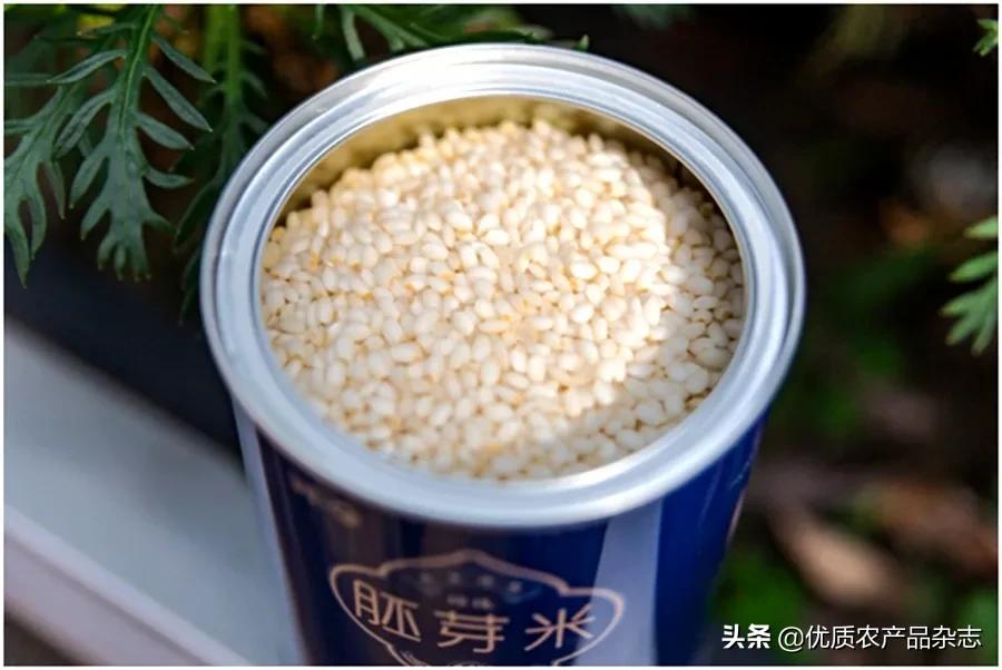 胚芽米和普通米哪个好吃,胚芽米被称为什么
