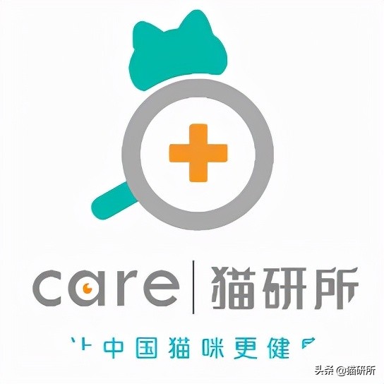 猫咪为什么老是叫讨食,猫咪为什么总是嗯嗯的叫