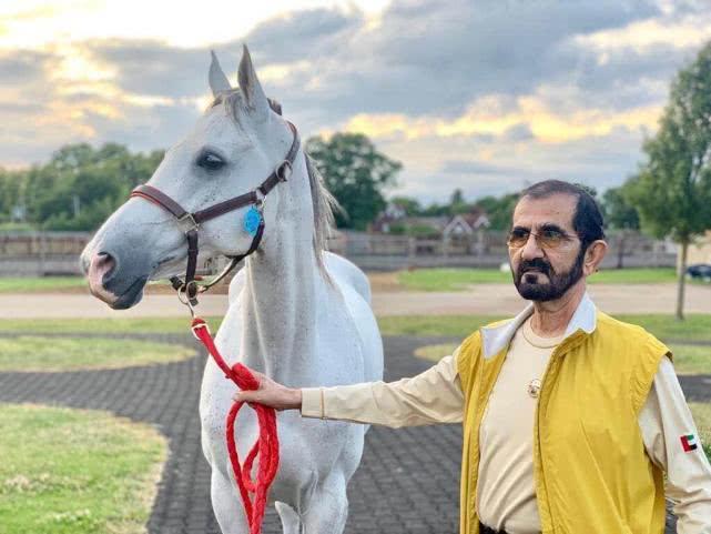 迪拜酋长穆罕默德家族,穆罕默德妻子的大逃亡