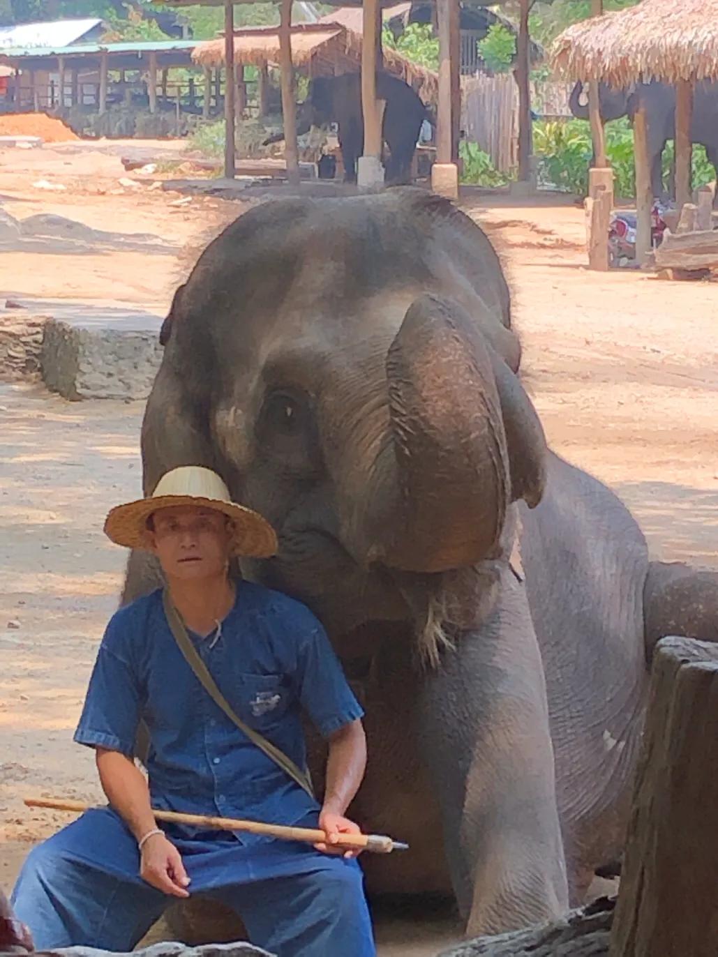 泰国跟团游6天5晚,泰国跟团游五天四晚含机票