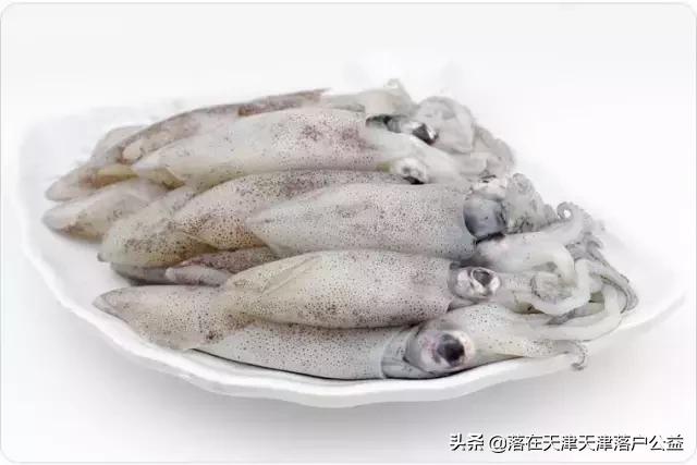 开海了怎么选海鲜,开海了囤点什么海鲜合适