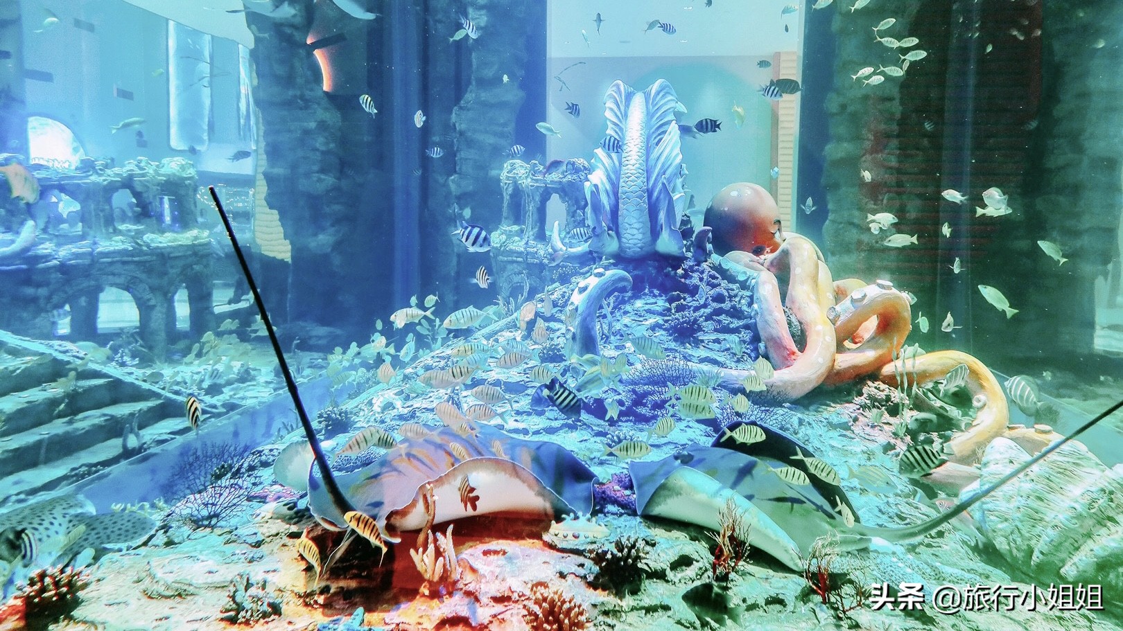 住在梦幻城堡,抚仙湖海豚湾住宿攻略