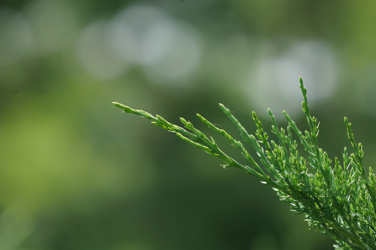 L鍗″彛闀跨劍闀滃ご,l鍗″彛70-300闀跨劍闀滃ご鎺ㄨ崘