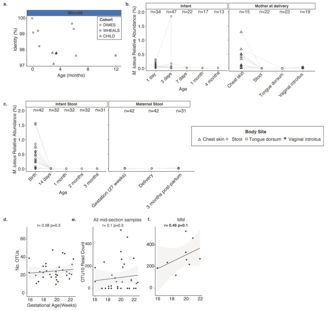 哪些菌可以在肠道定植,活菌在人体中可以存活吗