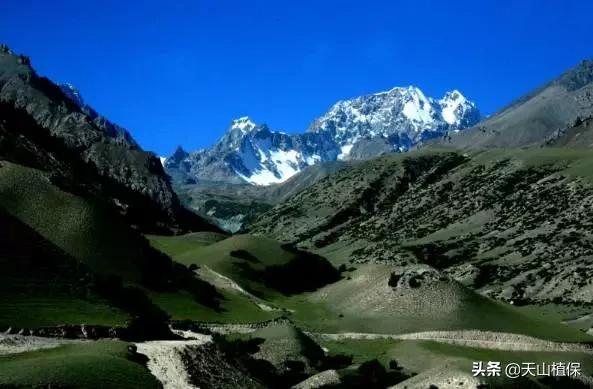 *疆新**克州，向全世界发出邀请！即将涌来大批人马