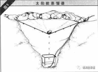 沙漠求生取水技巧,生存狂逃生技巧