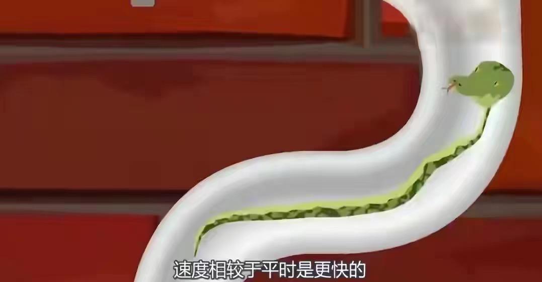 马桶爆炸女子被炸伤抽烟,马桶炸瓷开裂有人受伤