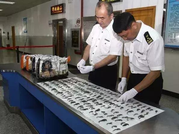 11月起香港税率大变更，这些东西都不能带……