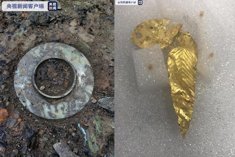 一周图说|人类器官再生能力或“尚未开发”，电池也能生物降解