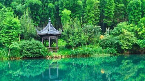 竹林被韩国申遗成功了吗,全球唯一申遗的古茶山