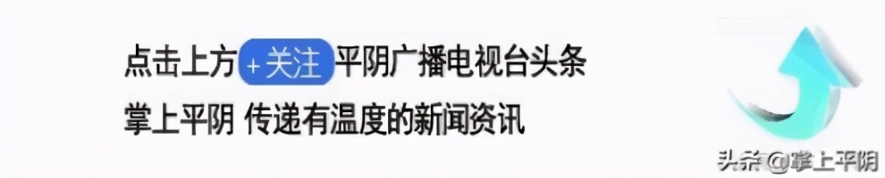 时代先锋zxf1,时代先锋继往开来