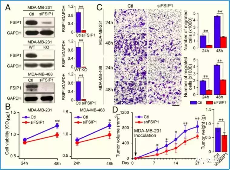 乳腺癌治疗最新研究成果,乳腺癌最新研究药
