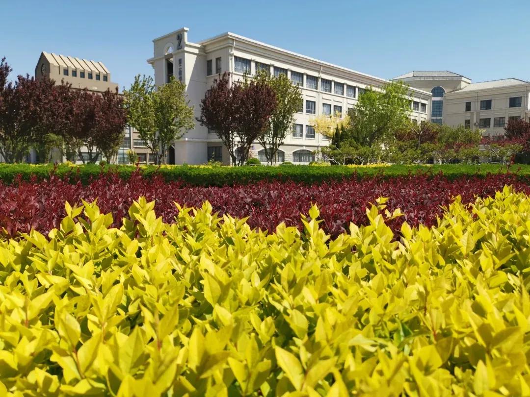 南开大学滨海学院天津排名,天津曾经的滨海学院