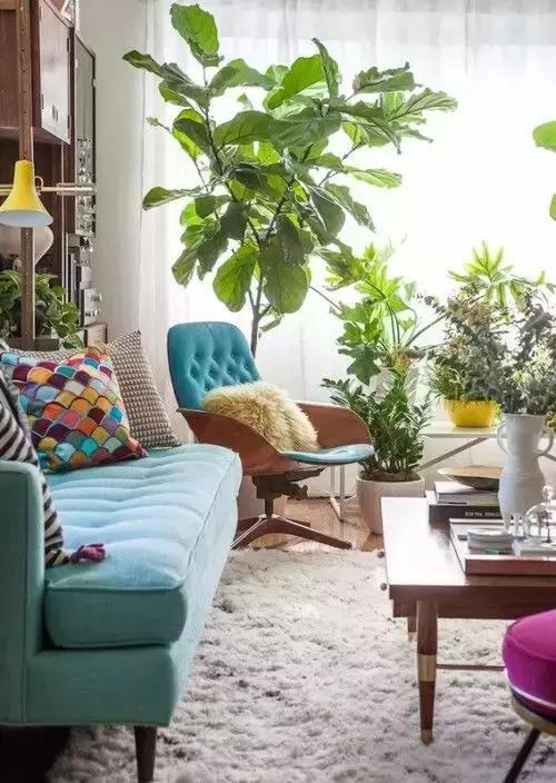 地毯创意搭配点缀,地毯色调搭配