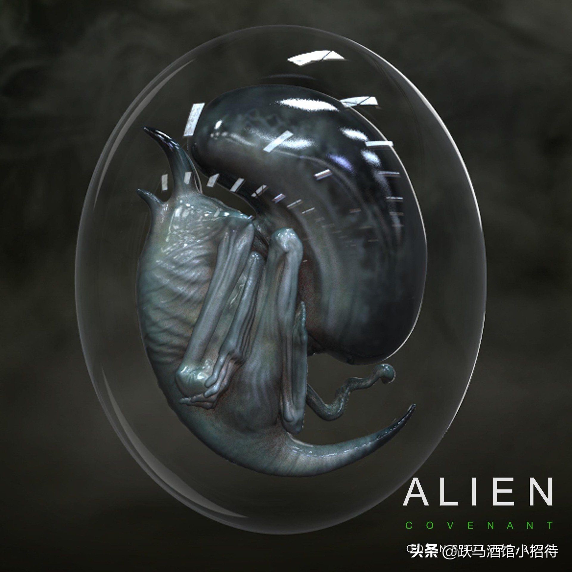 异形是大卫创造的吗,异形大卫的实验室原版