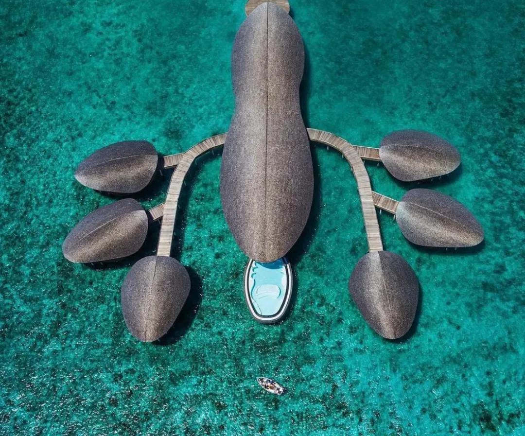 关于马尔代夫的一切,你不知道的马尔代夫冷知识