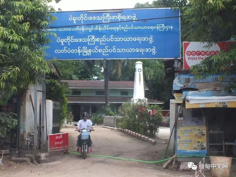 一律毒杀！缅甸小镇，政府下令毒杀流浪狗，中毒流浪狗满嘴血