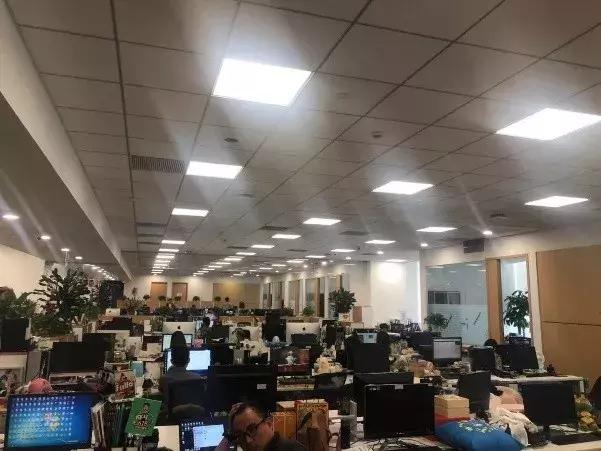 深圳韦博英语事件后续,常州韦博英语后续处理结果