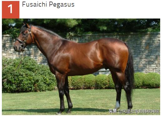 十大最昂贵动物排名,世界十大最贵的动物排行榜