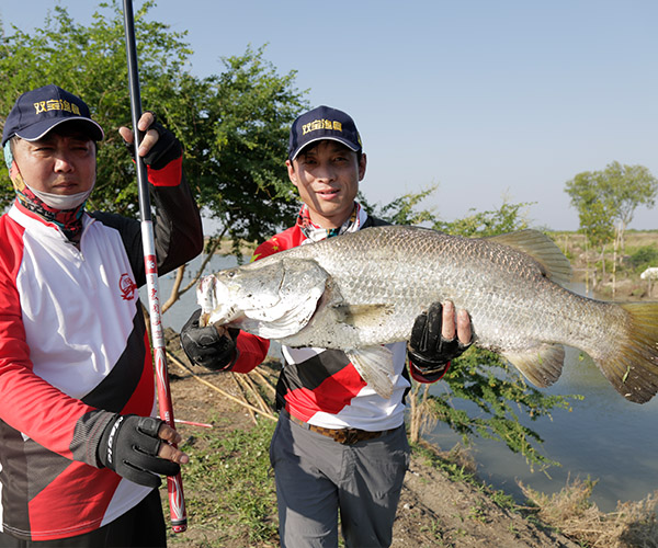 东岛鱼竿和双宝鱼竿哪个好,本汀鱼竿跟双宝鱼竿哪个好