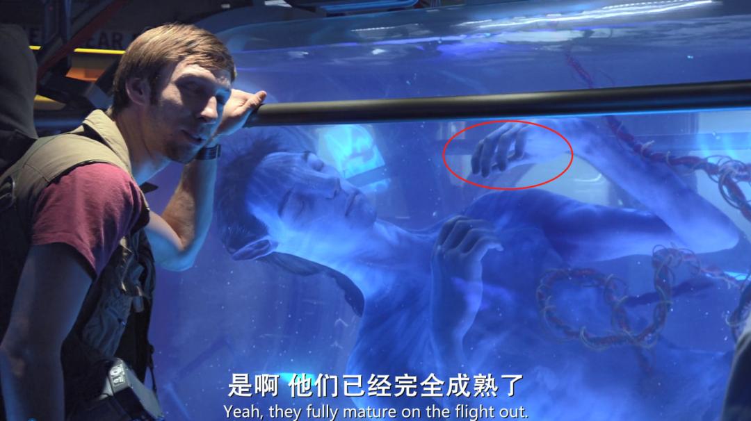 阿凡达最新彩蛋,阿凡达你不知道的隐藏细节