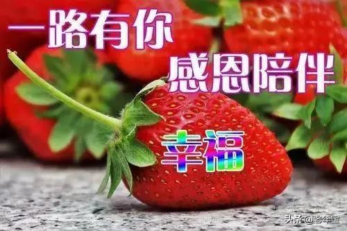 早上好周末愉快问候语动态表情包,周一早上好最新图片表情包