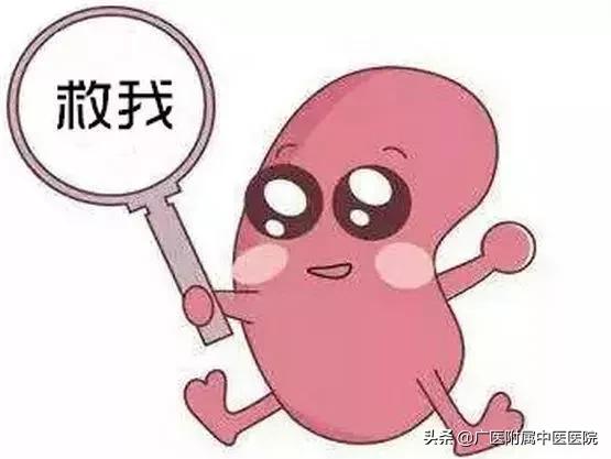 腰酸风湿怎么治疗,寒湿腰痛的最佳食疗