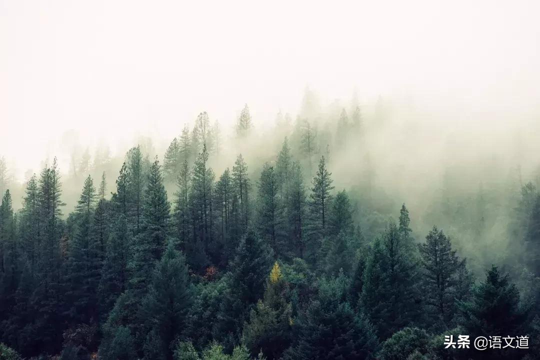 《论语》中的精华,只读一遍,受益终生