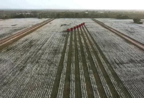 HM*制抵***疆新**棉花:明明那么普通,哪来的自信?