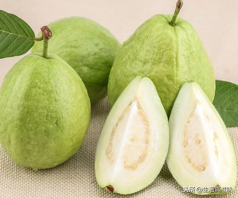 番石榴营养丰富的热带水果,番石榴香甜的还是脆甜的最好吃