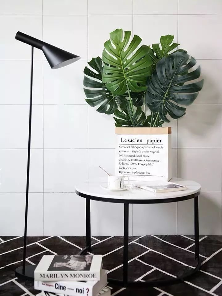 净化空气吸甲醛最好的植物大盆栽,净化空气除甲醛室内最佳植物排名