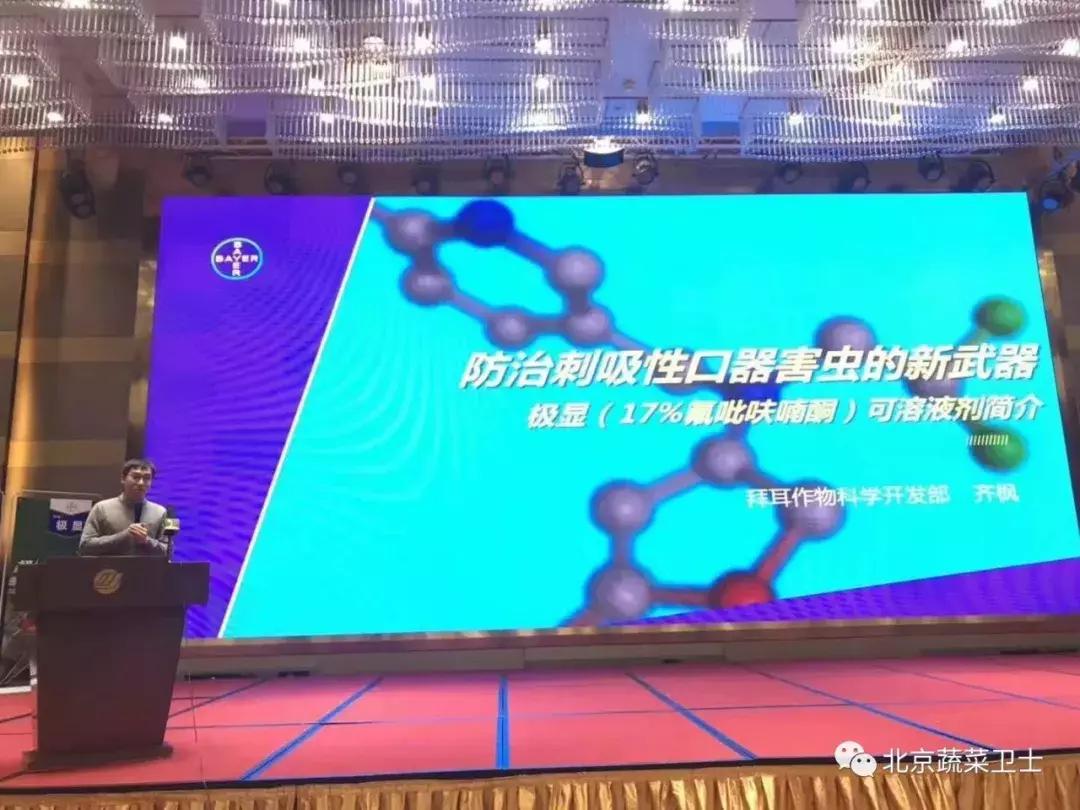 拜耳消杀白粉虱,拜耳治白粉虱特效药