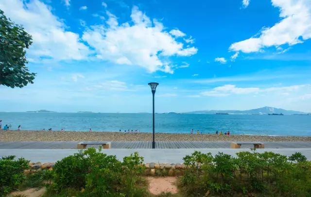 这个夏天一定要去趟厦门,夏天去厦门值得去吗