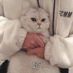 亲测有效防妊娠纹,妊娠纹大作战好物分享