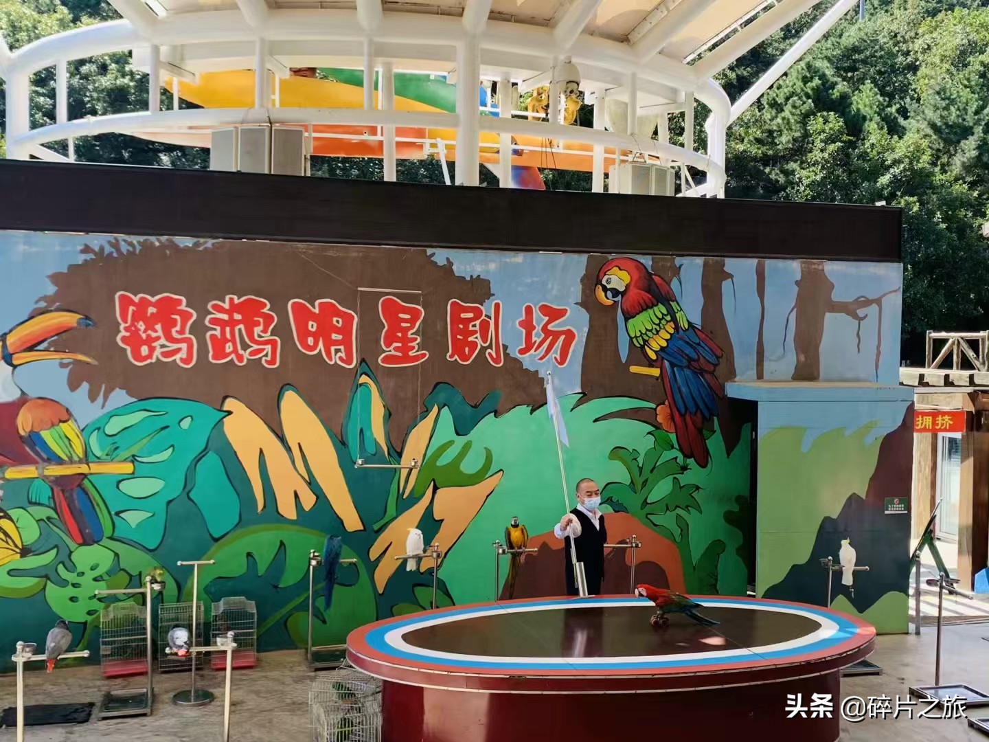 海滨城市大连旅游必备攻略,美丽的海滨城市大连星海广场