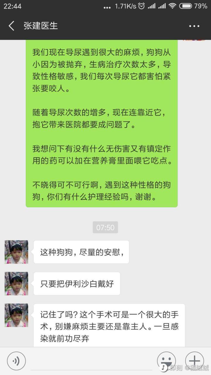 公猫膀胱结石手术,公犬尿道结石手术