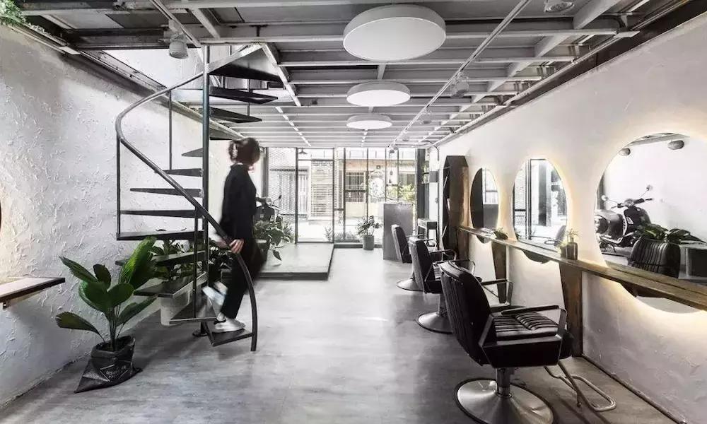 发廊角落绿植,发廊适合放的绿植