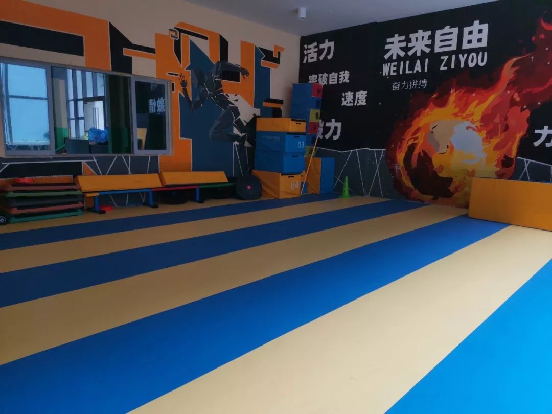 实体店最贵的平衡车 (实体店的平衡车好吗)