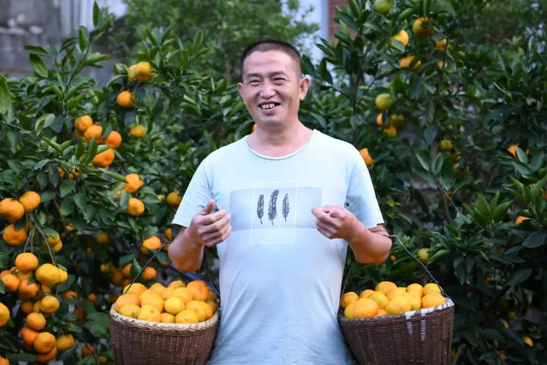 “blingbling”,黄得可爱的橘子可以从8月摘到来年2月!淳安中联村:临湖民宿处女地,甜甜蜜蜜看湖景