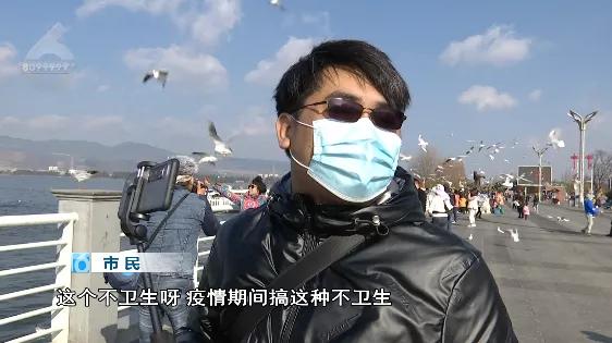 “屎到淋头”？嘴叼面包喂昆明海鸥大家最担心的事情发生了？