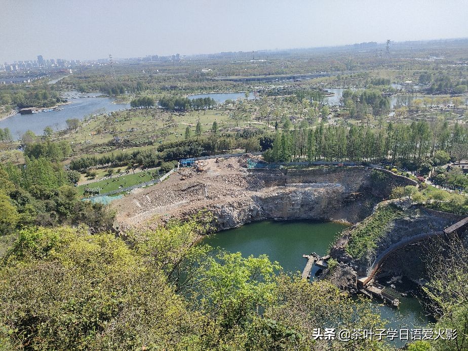 春天踏青适合去哪里玩,春天去上海辰山植物园攻略