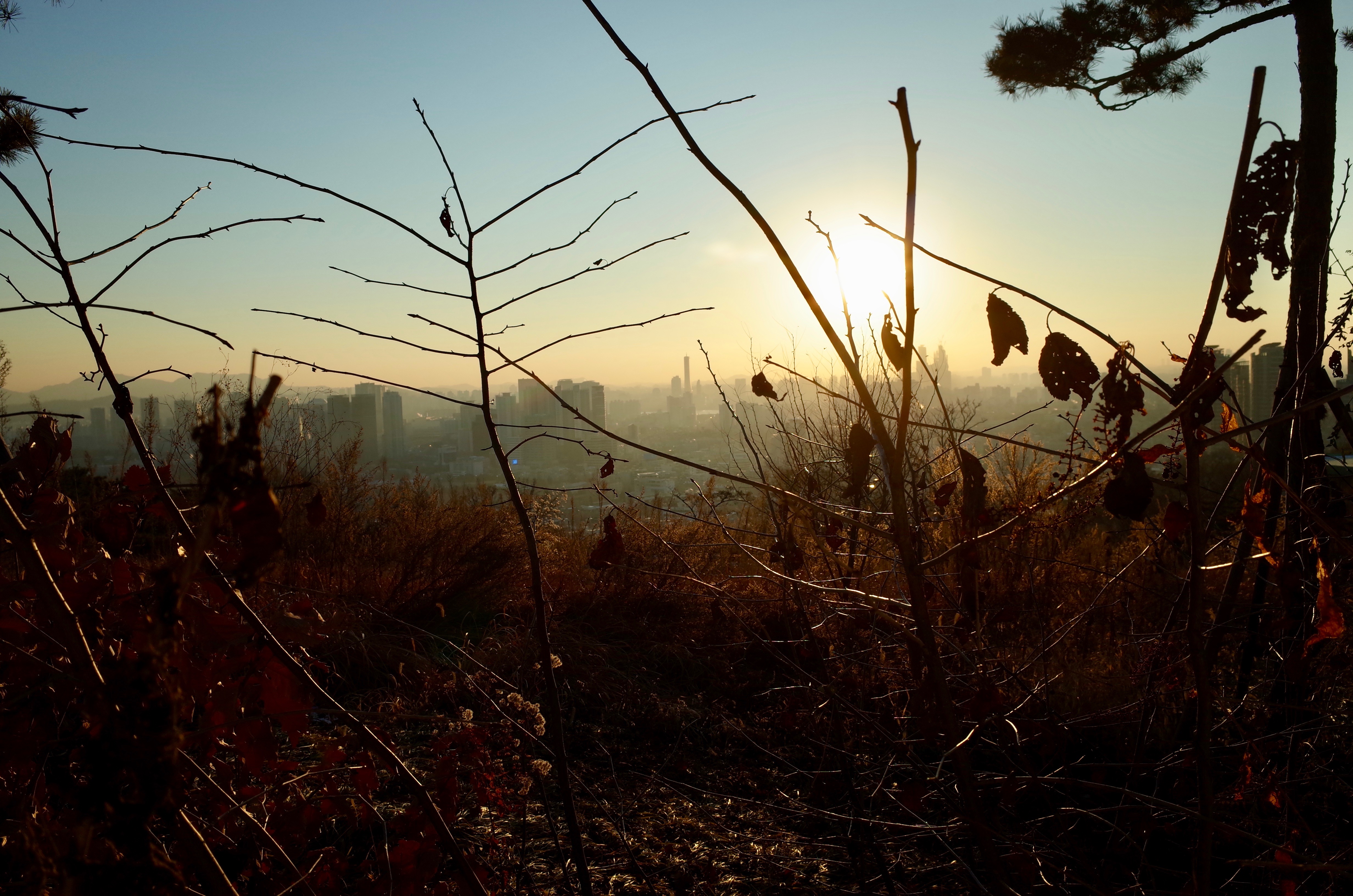网速慢别点，百图韩国游记—一场关于音乐、历史与喝酒的首尔盛筵